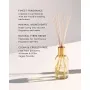 Glasshouse Fragrances-One Night In Rio Fragrance Diffuser 250ml
