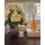 Glasshouse Fragrances-One Night In Rio Fragrance Diffuser 250ml
