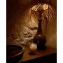 Glasshouse Fragrances-Limited Edition Dusk At The Kasbah 380g Scented Candle
