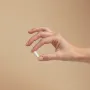 Herbs of Gold NMN 250 Daily 30 Capsules