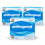 Anthogenol 100 Vegetarian Capsules x 3 Boxes