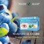 Wealthy Health-Maxi Visual Guard 60 Capsules