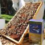 Wealthy Health-Royal Jelly 1000mg 6% 365 Capsules