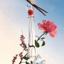 Kenzo-Flower By Kenzo Eau De Parfum 50ml