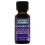 Thursday Plantation-Lavender Oil 100% Pure 25ml