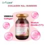 Springleaf-Collagen HA+ 60 Gummies