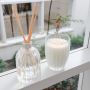Peppermint Grove-Wild Jasmine & Mint Mini Room Diffuser 100ml