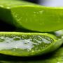 Thursday Plantation-Aloe Vera Gel 100g