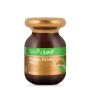 Springleaf-Ginkgo Biloba 2000mg 120 Tablets