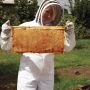 Manuka Health-Manuka Honey MGO 263+ 1kg
