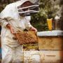 Manuka Health-Manuka Honey MGO 850+ 250g