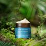 Antipodes-Harmony Hyaluronic Manuka Honey Night Cream 60ml